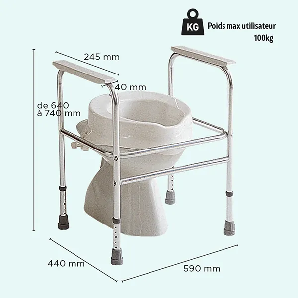 Cadre de toilettes aluminium Adeo