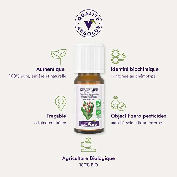 Docteur Valnet huile essentielle de Clou de Giroflier Bio