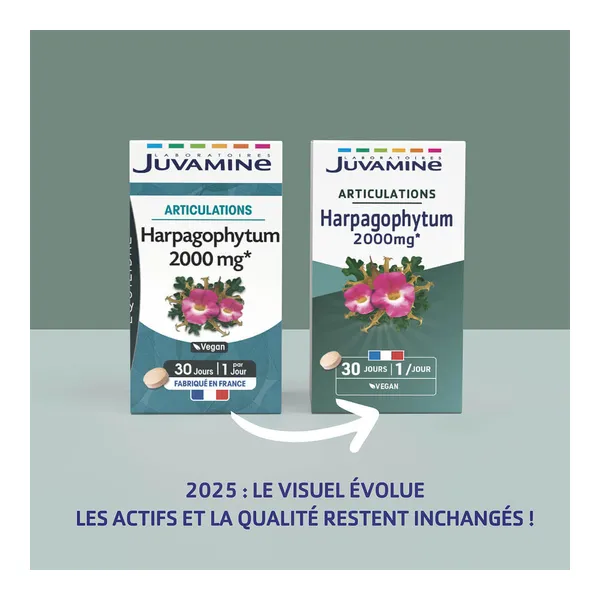 Juvamine Harpagophytum 2000 mg comprimés