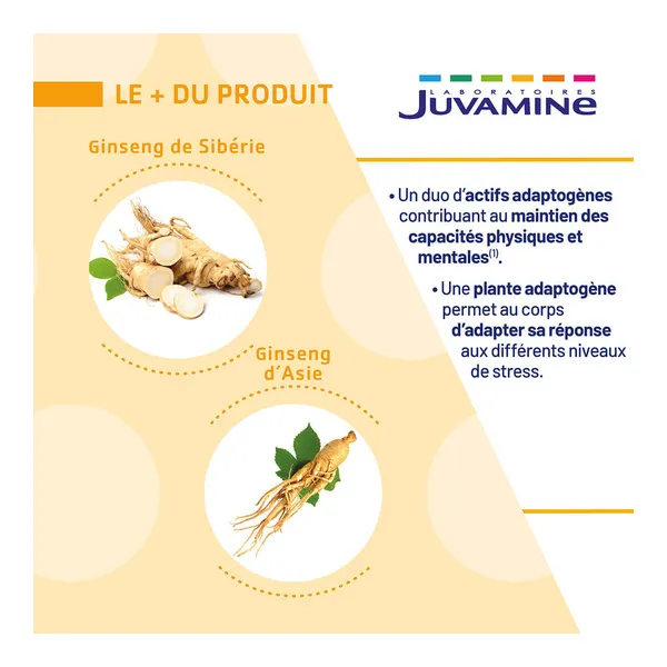 Juvamine Ginseng de Siberie Ginseng d'Asie 890 mg comprimés