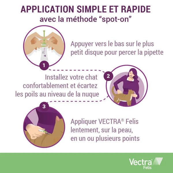 Vectra Felis Pipettes anti puces chat