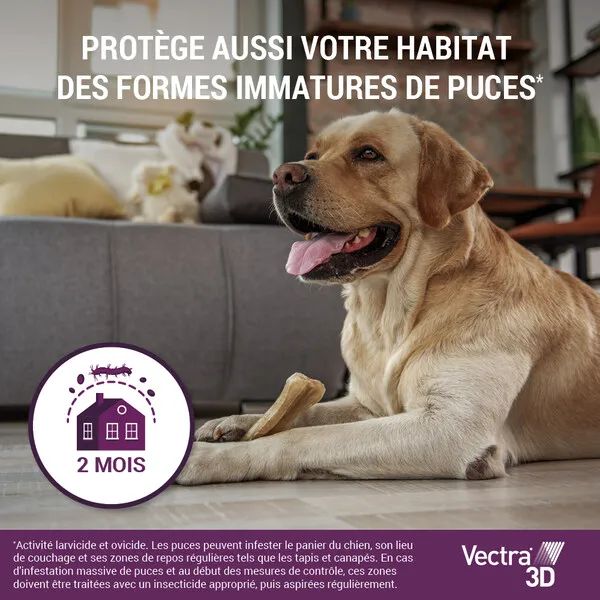 Vectra 3D Pipettes anti puces chien