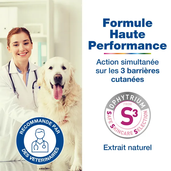 Douxo S3 Calm Shampooing apaisant Chien et chat