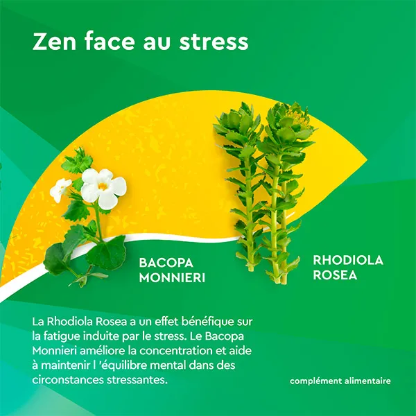 Euphytose Stress Concentration comprimés