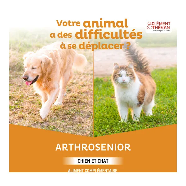 Clément Thékan Arthrosenior chien et chat comprimés