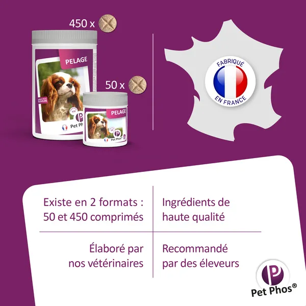 Pet Phos Pelage chien comprimés