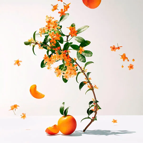 Roger et Gallet eau parfumée bienfaisante Fleur d'Osmanthus