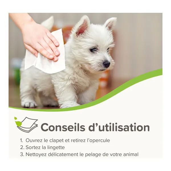 Beaphar Lingettes nettoyantes pour Chien et Chat
