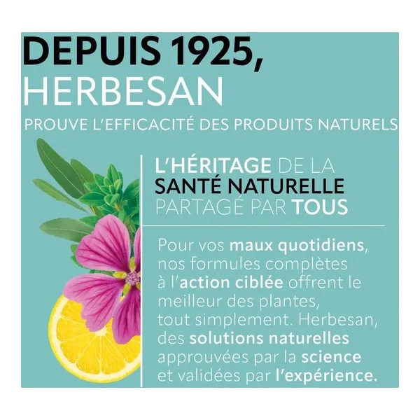 Herbesan infusion bio Respiratoire sachets