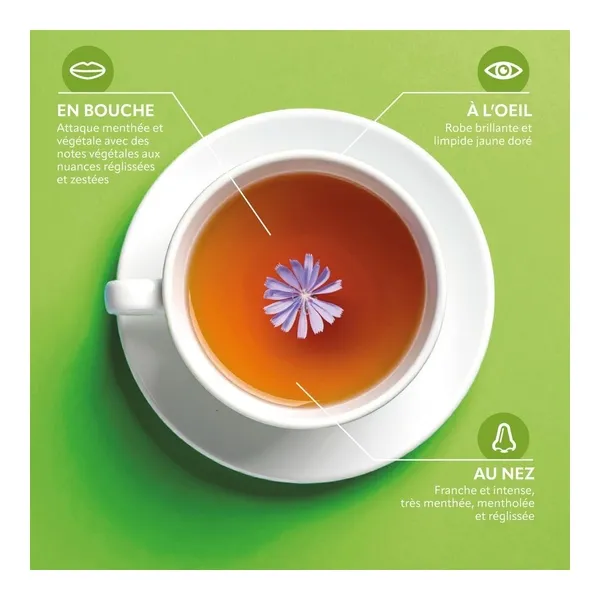 Herbesan infusion bio Transit facile