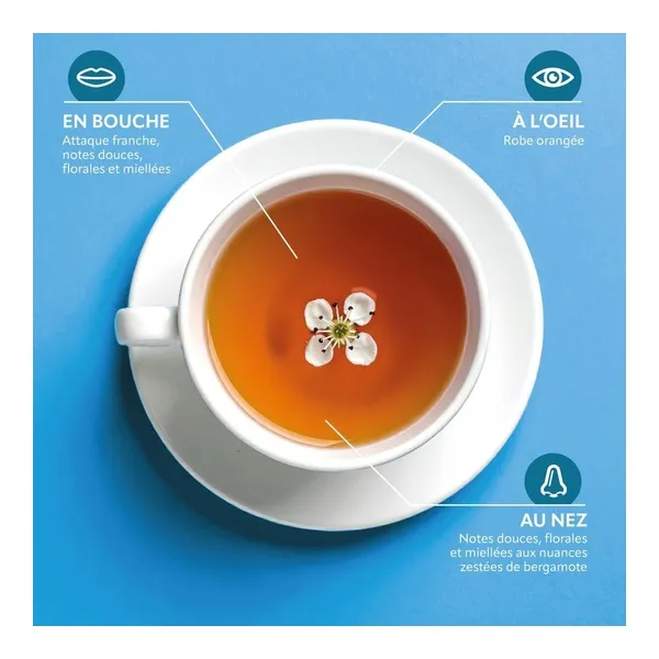 Herbesan infusion bio Nuit paisible sachets