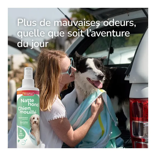 Beaphar Spray Chien mouillé