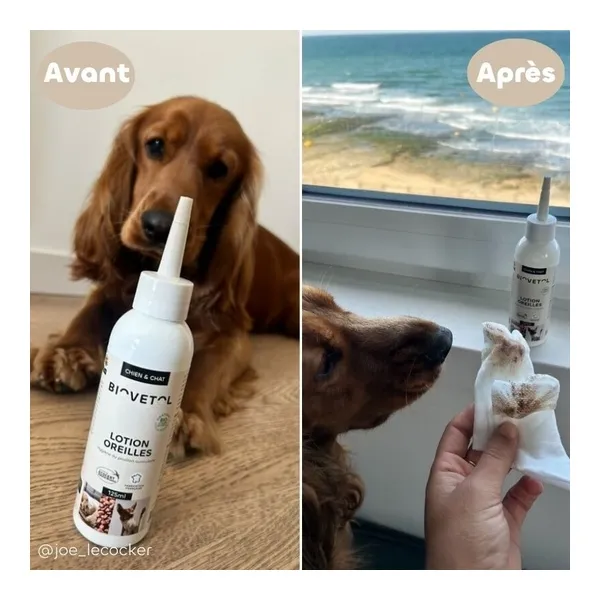 Biovetol Lotion oreilles chien et chat