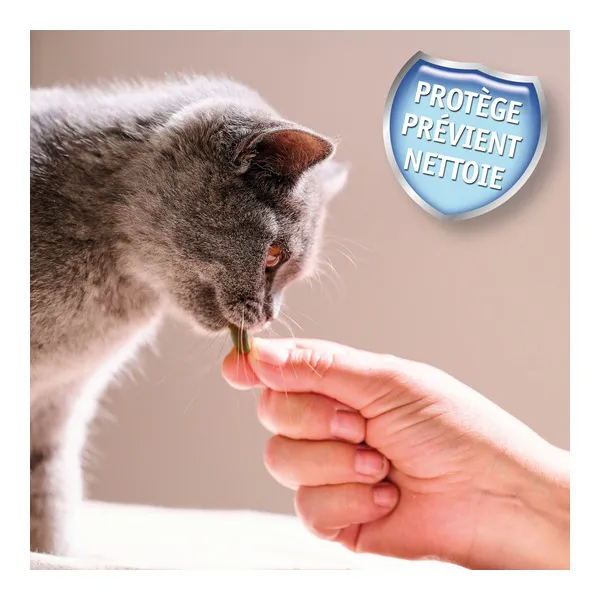 Beaphar friandises dentaires pour chat Dental Bits