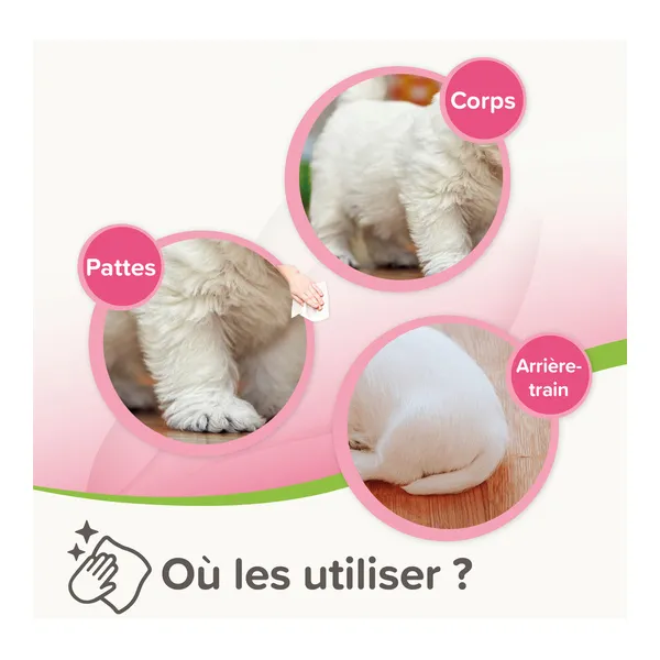 Beaphar Lingettes nettoyantes pour Chien et Chat