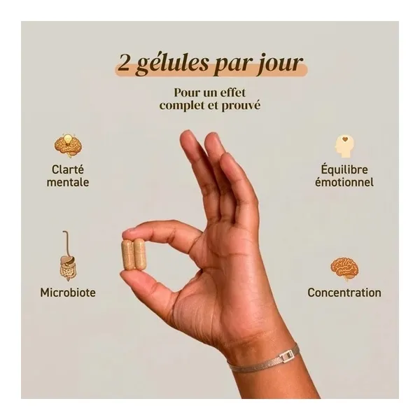French Mush Lion's Mane Bio gélules