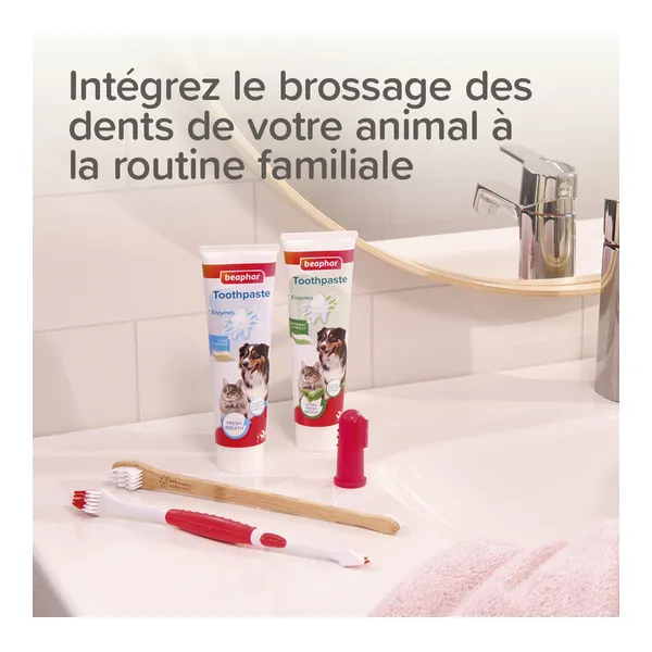 Beaphar Kit dentaire chiot