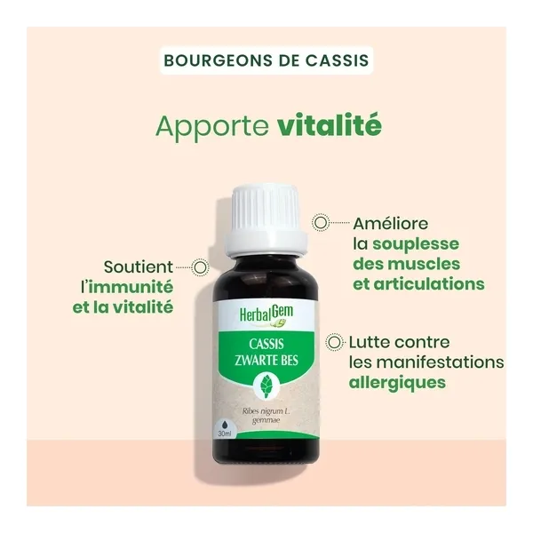 HerbalGem Cassis Bio