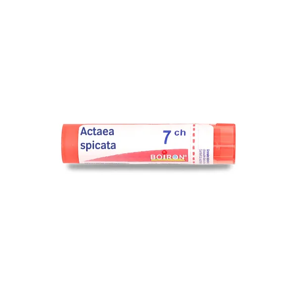 Boiron Actaea spicata granules