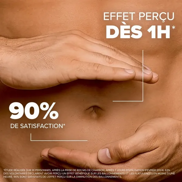 Arkodigest Expert Ballonnements et Flatulences gélules