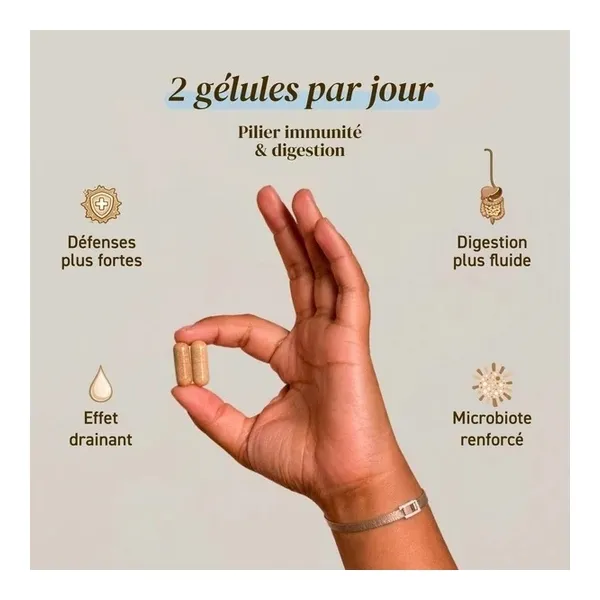 French Mush Shiitake bio gélules