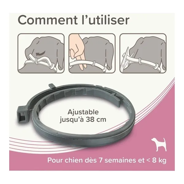 Collier anti puce chien Beaphar