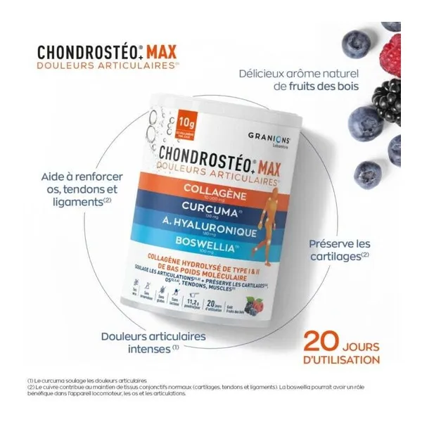 Chondrostéo+ Max Articulations poudre