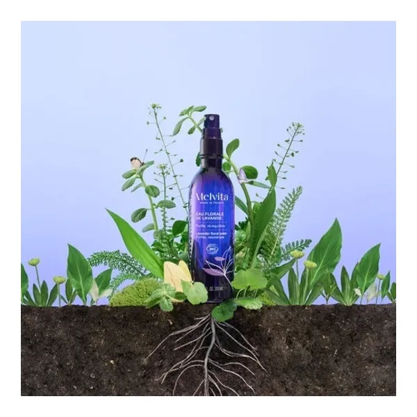Melvita Eau florale de lavande bio