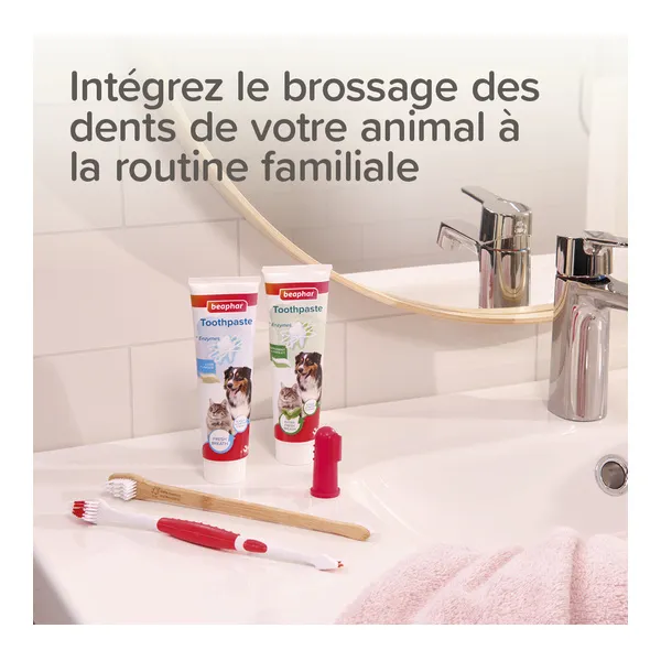 Beaphar Brosse à dents doigtier Chien et Chat