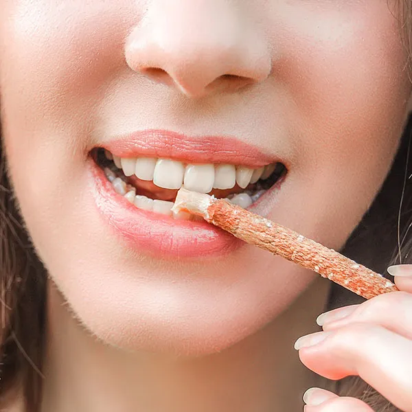 Siwak Brosse à dents naturelle