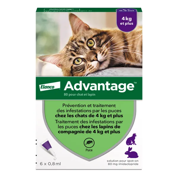 Advantage pipettes pour chat et lapin traitement anti puces