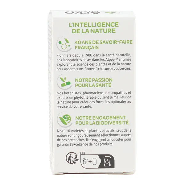 Arkogélules Maté gélules bio