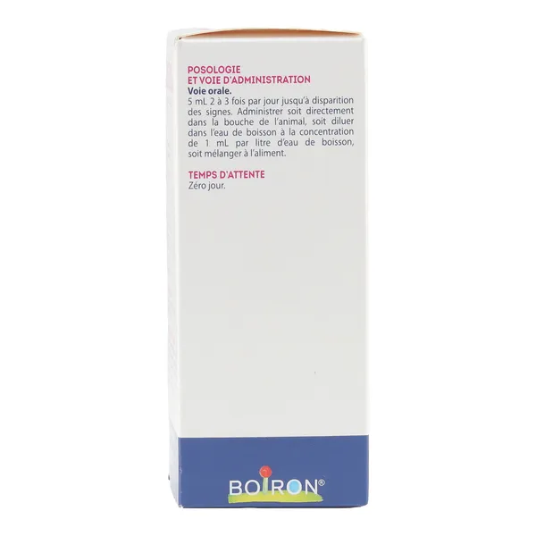 Boiron Abcédyl GA solution buvable