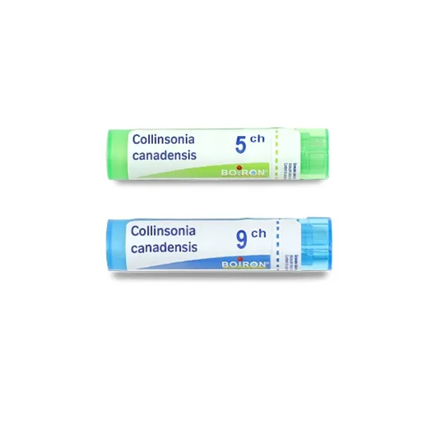 Boiron Collinsonia Canadensis granules