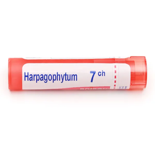 Harpagophytum Boiron granules