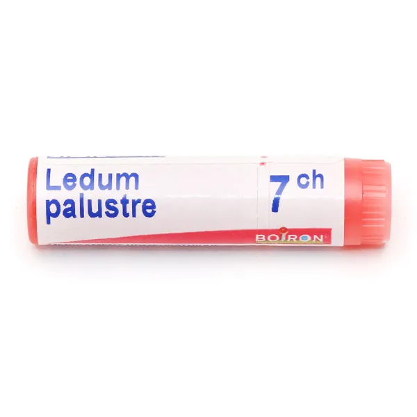 Boiron Ledum palustre dose