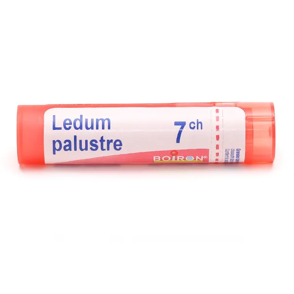 Boiron Ledum palustre granules