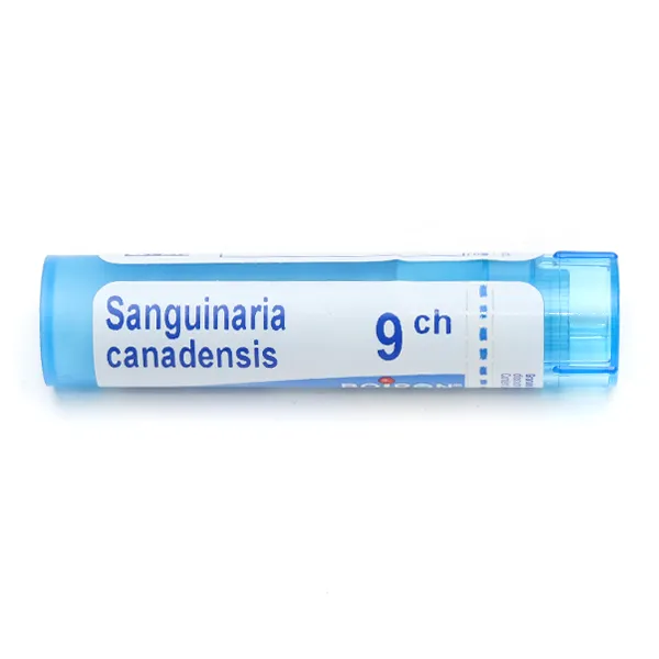 Boiron Sanguinaria canadensis granules