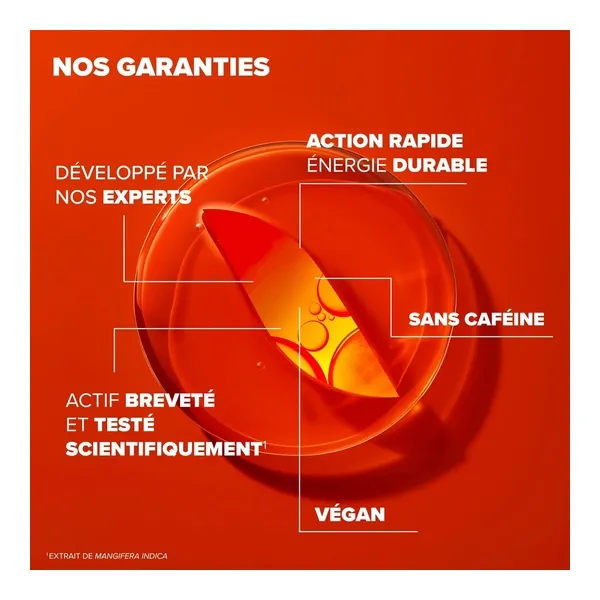 Azinc Expert Fatigue intense Epuisement comprimés