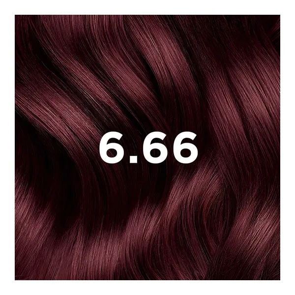 Phytocolor Kit Coloration Permanente Châtain Clair Cerise intense 6.66
