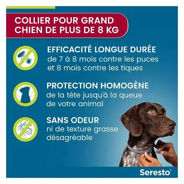 Collier anti puces Seresto grand chien