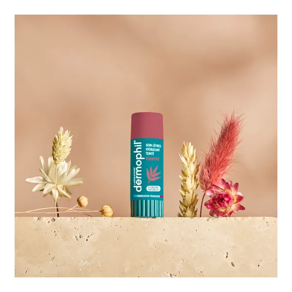 Dermophil Indien stick lèvre hydratant teinté pourpre