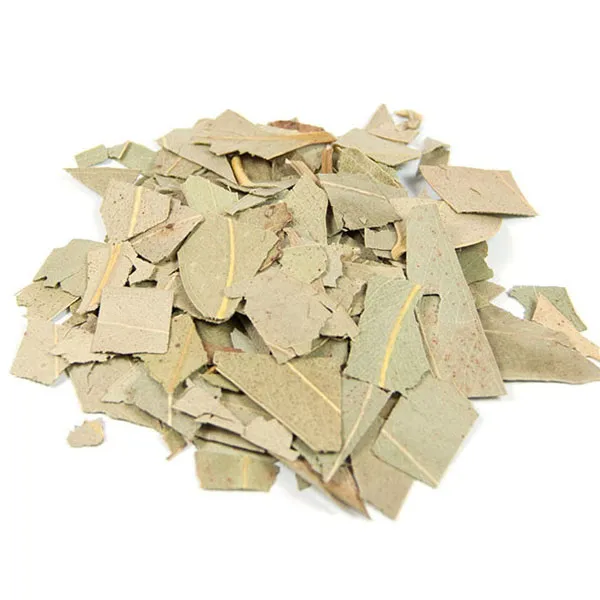 Iphym Eucalyptus feuille coupée