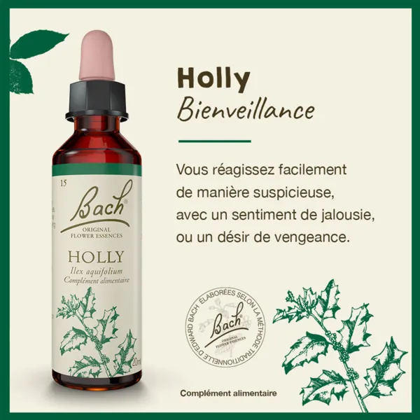Fleurs de Bach Holly n°15