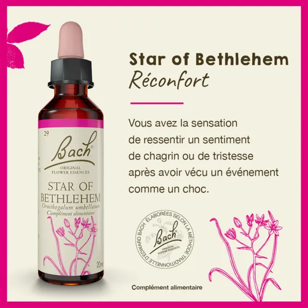 Fleurs de Bach Star of Bethlehem n°29