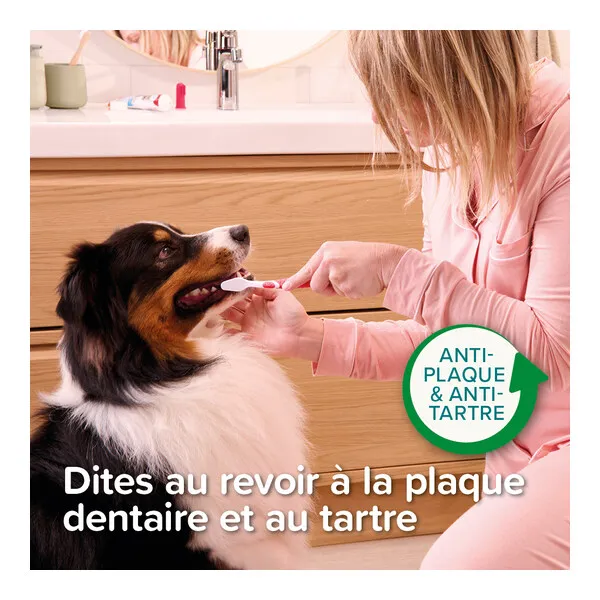 Beaphar Dentifrice chien chat Haleine fraiche