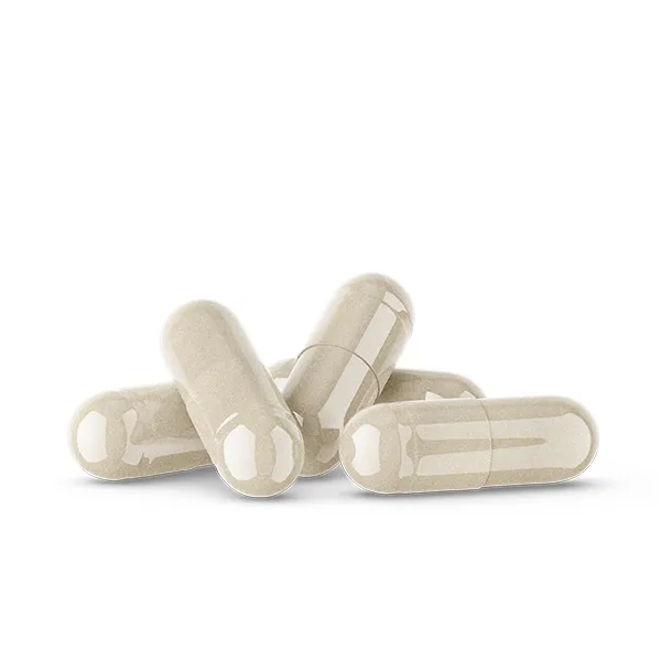 Physiostim Equilibre vaginal gélules
