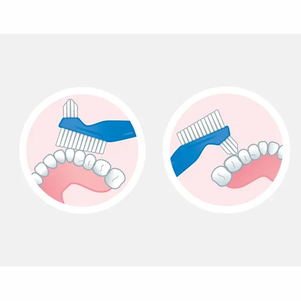 Gum brosse pour prothèse dentaire