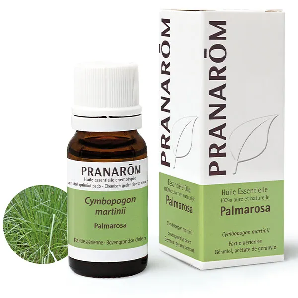 Pranarom huile essentielle Palmarosa