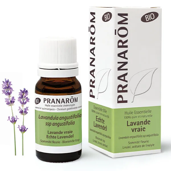 Pranarom huile essentielle de Lavande vraie bio